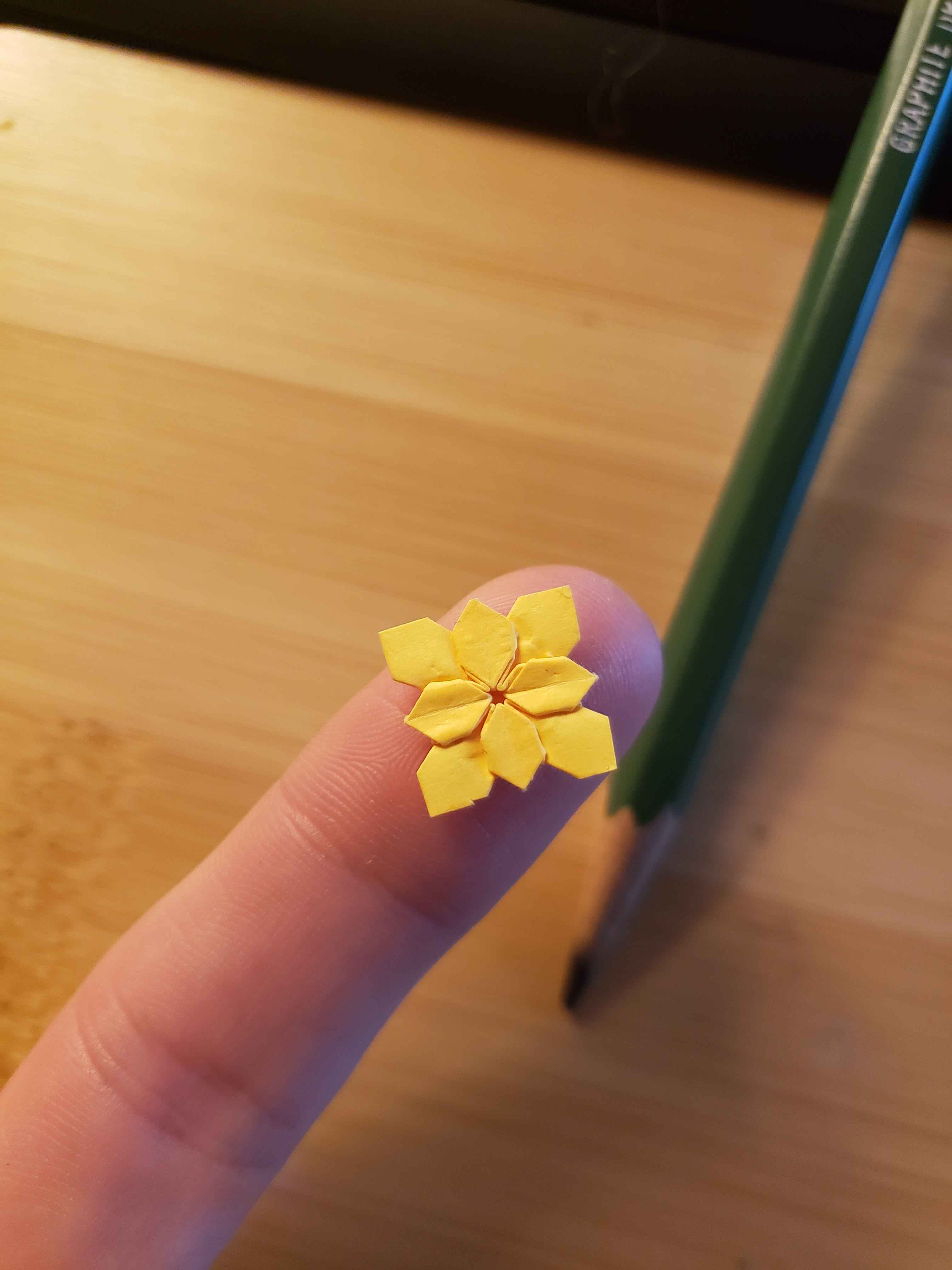 Tiny Hydrangea